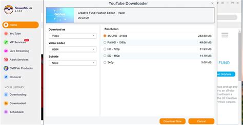 downloader for fansly.com|Top 5 der besten Fansly Downloader Chrome